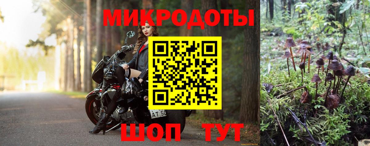 Галлюциногенные грибы Psilocybe  Вход с VPN  как найти закладки  Саянск 
